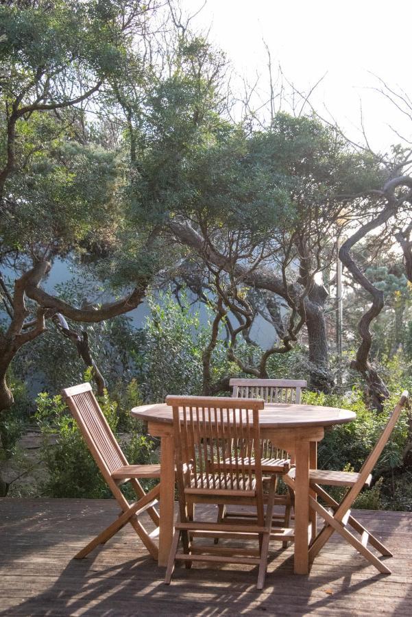 Mariva Dune Hotel 5*